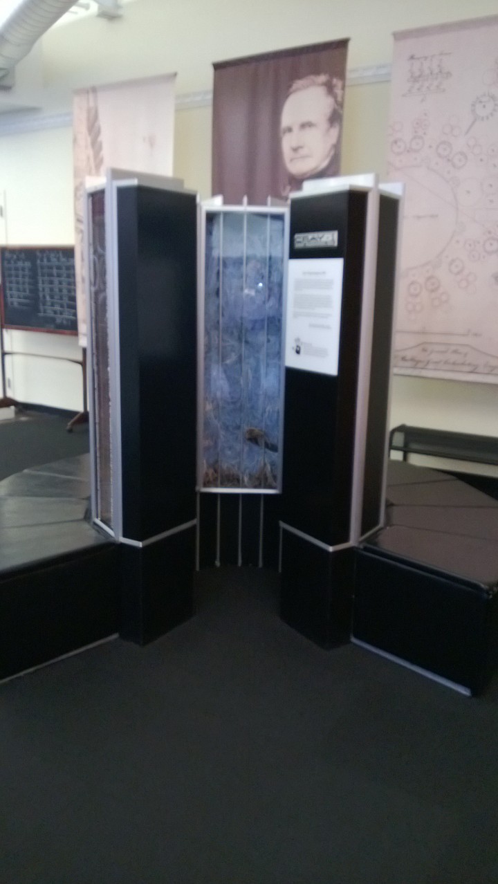 Cray 1